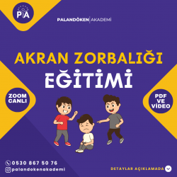 Akran Zorbalığı Eğitimi