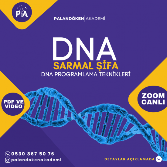 Matrix DNA Sarmal Eğitimi