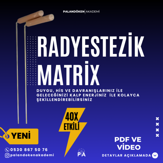 Radyestezik Matrix Eğitimi