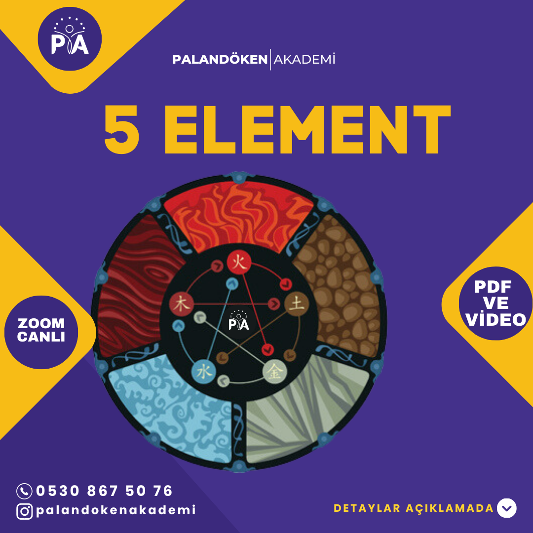 5 Element ve Dönüşüm Sırrı