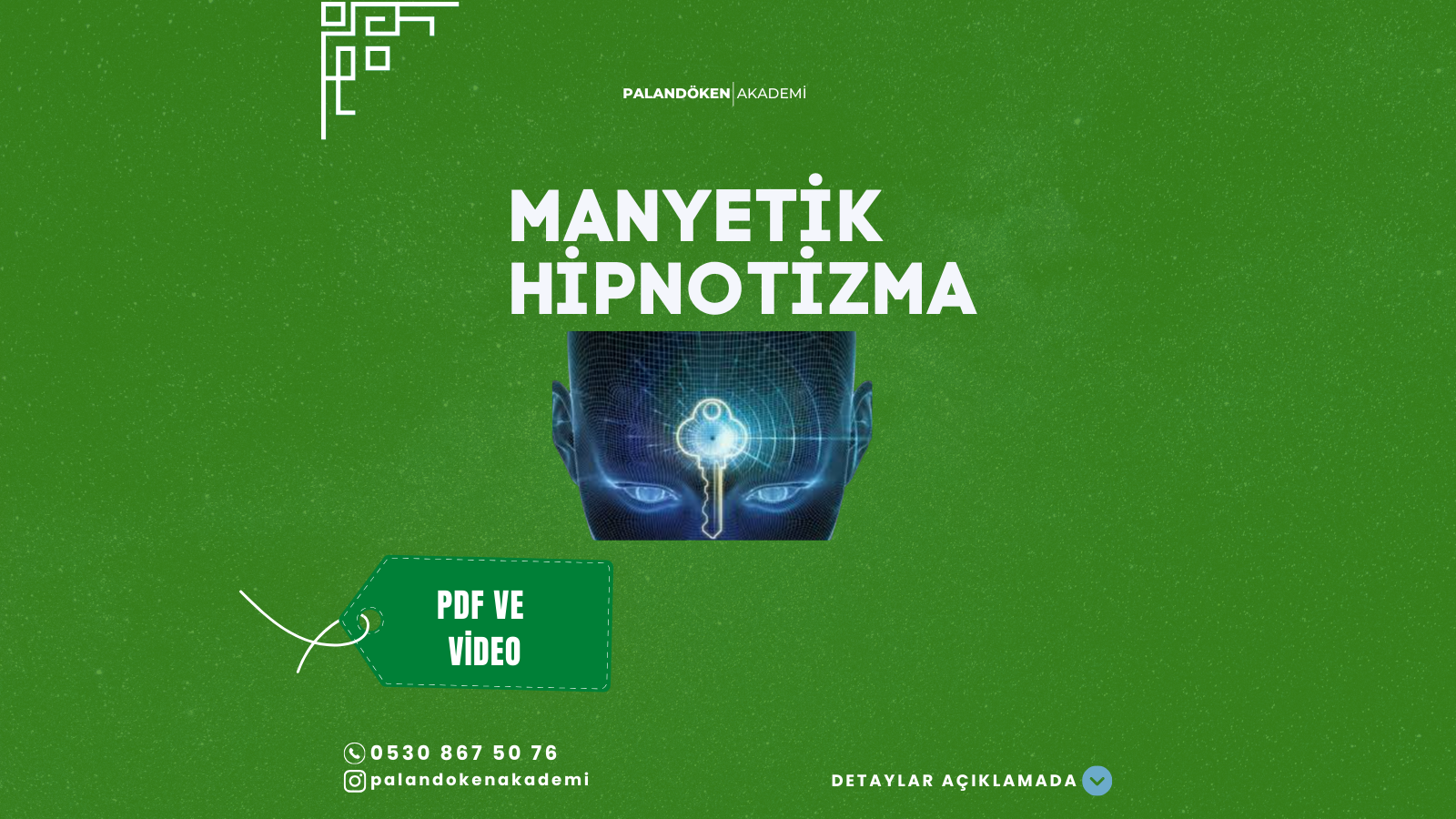 Manyetik Hipnoz