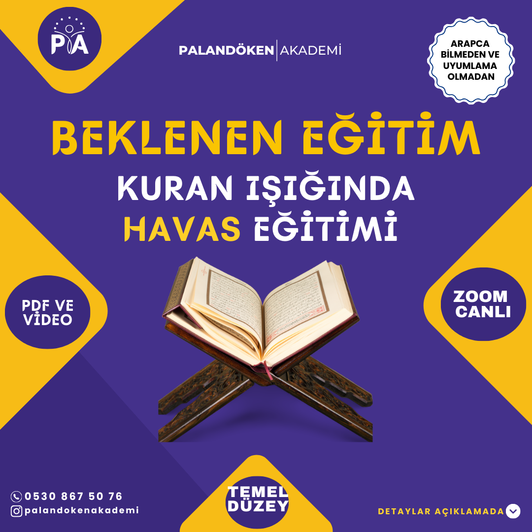 Temel Havas
